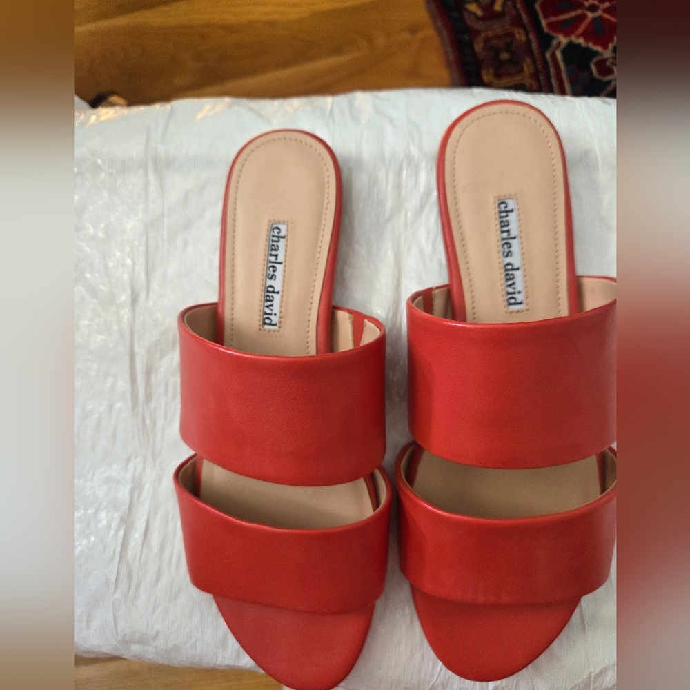 Charles David Bold Red/orange Sandals